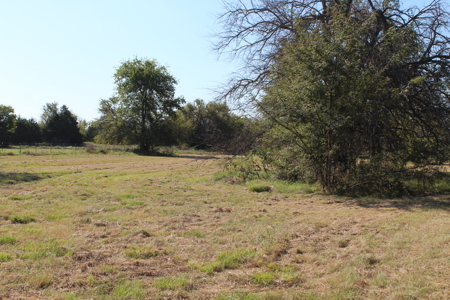 43 Acres for Sale on Pritchard Road, Just Off Hwy 22 - image 5