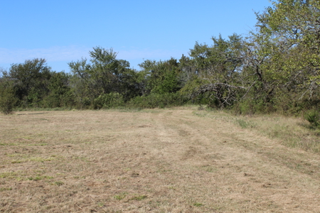 43 Acres for Sale on Pritchard Road, Just Off Hwy 22 - image 16