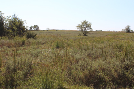 43 Acres for Sale on Pritchard Road, Just Off Hwy 22 - image 9