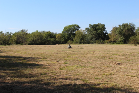 43 Acres for Sale on Pritchard Road, Just Off Hwy 22 - image 18