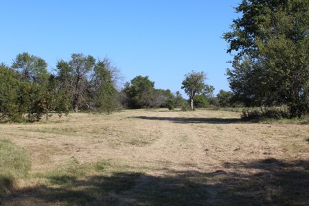 43 Acres for Sale on Pritchard Road, Just Off Hwy 22 - image 20