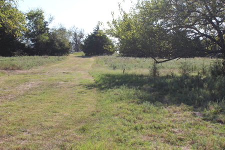 43 Acres for Sale on Pritchard Road, Just Off Hwy 22 - image 8