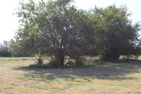 43 Acres for Sale on Pritchard Road, Just Off Hwy 22 - image 1