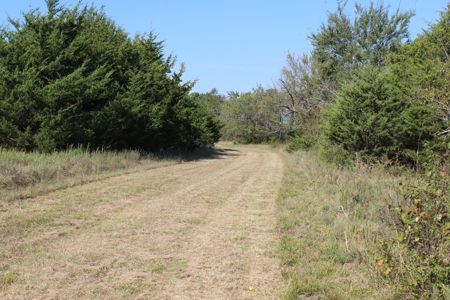 43 Acres for Sale on Pritchard Road, Just Off Hwy 22 - image 10