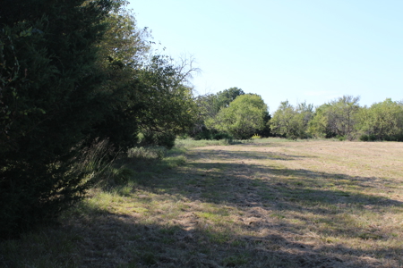 43 Acres for Sale on Pritchard Road, Just Off Hwy 22 - image 17