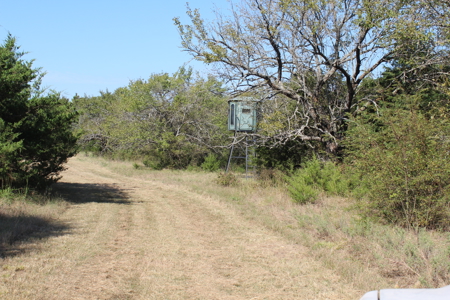 43 Acres for Sale on Pritchard Road, Just Off Hwy 22 - image 11