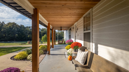 Country Home and Acreage for sale in the Arkansas Ozarks - image 7