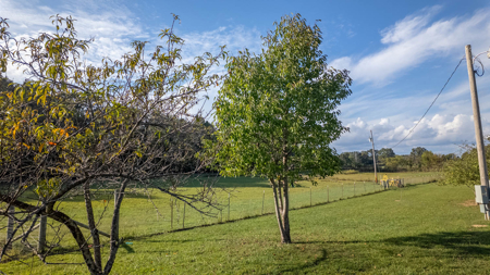 Country Home and Acreage for sale in the Arkansas Ozarks - image 15