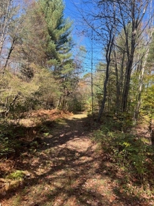 Hunting Acreage For Sale in Herkimer County New York - image 10