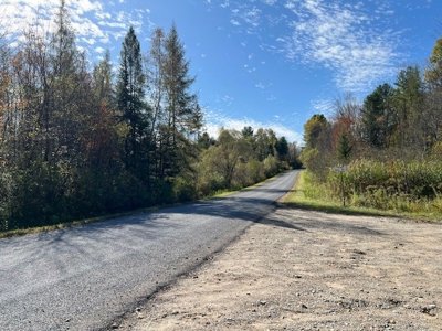 Hunting Acreage For Sale in Herkimer County New York - image 6