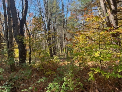 Hunting Acreage For Sale in Herkimer County New York - image 7