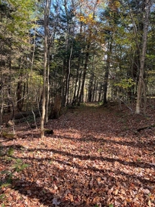 Hunting Acreage For Sale in Herkimer County New York - image 13