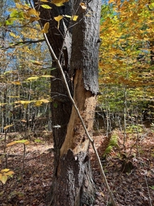 Hunting Acreage For Sale in Herkimer County New York - image 9