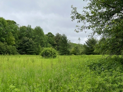 Hunting Acreage For Sale in Herkimer County New York - image 1