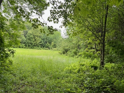 Hunting Acreage For Sale in Herkimer County New York - image 4