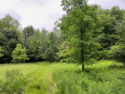 Hunting Acreage For Sale in Herkimer County New York - image 2