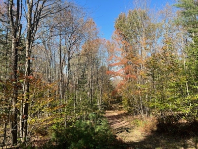 Hunting Acreage For Sale in Herkimer County New York - image 19