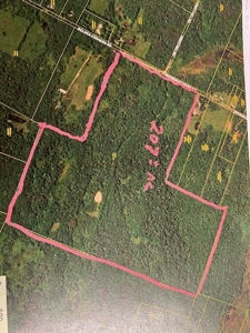 Hunting Acreage For Sale in Herkimer County New York - image 16