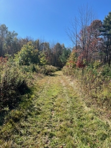 Hunting Acreage For Sale in Herkimer County New York - image 11