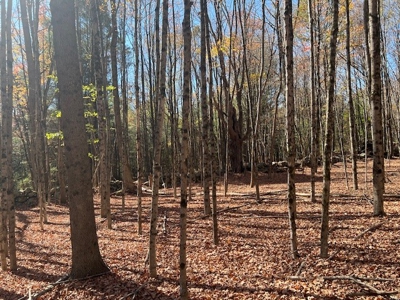 Hunting Acreage For Sale in Herkimer County New York - image 15