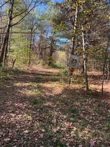 Hunting Acreage For Sale in Herkimer County New York - image 14