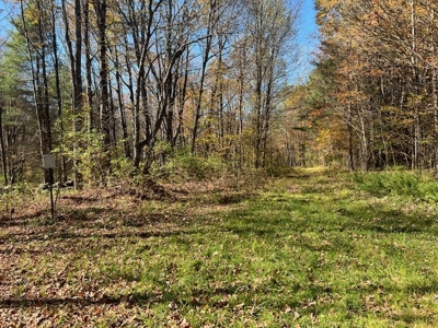 Hunting Acreage For Sale in Herkimer County New York - image 17