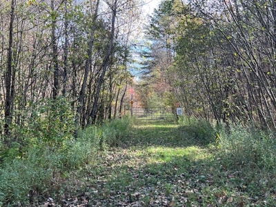 Hunting Acreage For Sale in Herkimer County New York - image 12