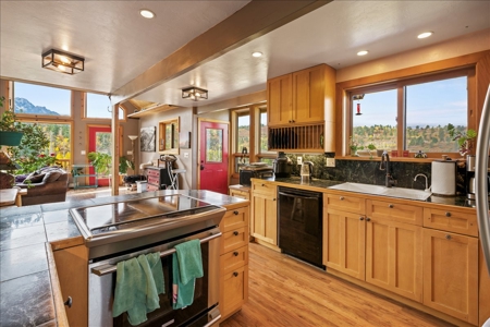 3 Bedroom Mountain Home on 42± Acres for Sale in Ridgway, CO - image 11