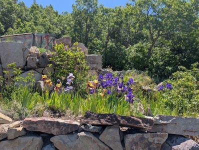 3 Bedroom Mountain Home on 42± Acres for Sale in Ridgway, CO - image 7