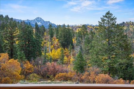 3 Bedroom Mountain Home on 42± Acres for Sale in Ridgway, CO - image 3