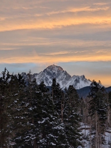 3 Bedroom Mountain Home on 42± Acres for Sale in Ridgway, CO - image 31