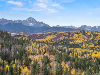 3 Bedroom Mountain Home on 42± Acres for Sale in Ridgway, CO - image 41