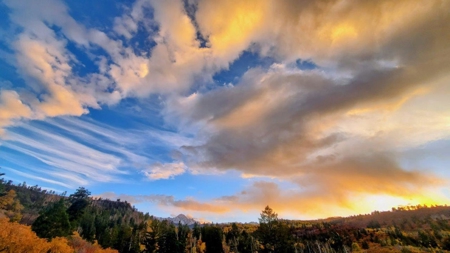 3 Bedroom Mountain Home on 42± Acres for Sale in Ridgway, CO - image 10