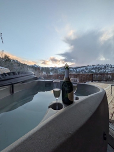 3 Bedroom Mountain Home on 42± Acres for Sale in Ridgway, CO - image 3