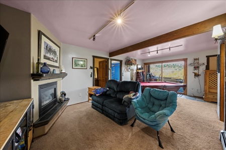 3 Bedroom Mountain Home on 42± Acres for Sale in Ridgway, CO - image 21