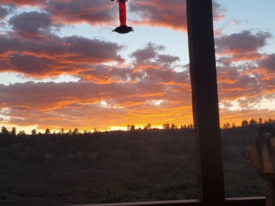 3 Bedroom Mountain Home on 42± Acres for Sale in Ridgway, CO - image 13