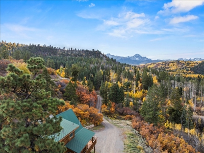 3 Bedroom Mountain Home on 42± Acres for Sale in Ridgway, CO - image 43