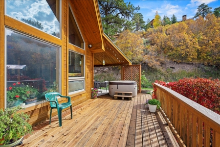 3 Bedroom Mountain Home on 42± Acres for Sale in Ridgway, CO - image 29