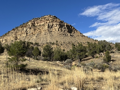 FOR SALE 35 acres bordering Mesa Verde National Park - image 1