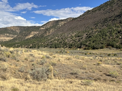 FOR SALE 35 acres bordering Mesa Verde National Park - image 25