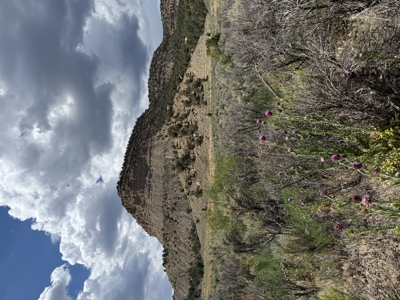 FOR SALE 35 acres bordering Mesa Verde National Park - image 9