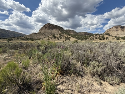 FOR SALE 35 acres bordering Mesa Verde National Park - image 21