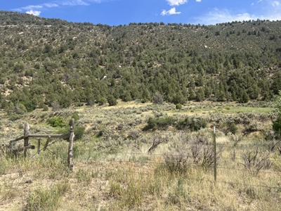 FOR SALE 35 acres bordering Mesa Verde National Park - image 16