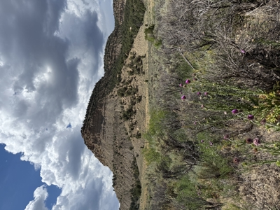 FOR SALE 35 acres bordering Mesa Verde National Park - image 22