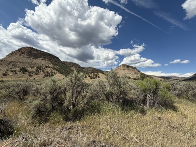 FOR SALE 35 acres bordering Mesa Verde National Park - image 8