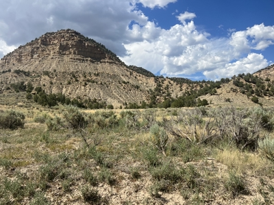 FOR SALE 35 acres bordering Mesa Verde National Park - image 3