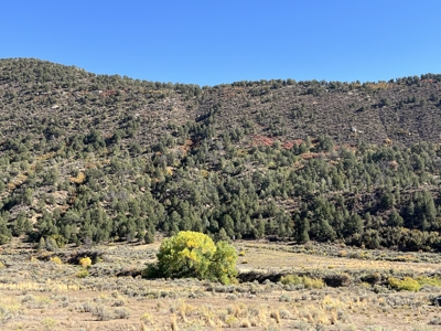 FOR SALE 35 acres bordering Mesa Verde National Park - image 28