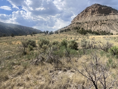 FOR SALE 35 acres bordering Mesa Verde National Park - image 13