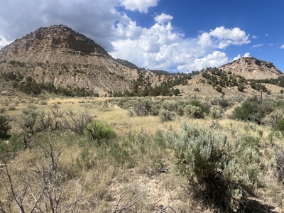 FOR SALE 35 acres bordering Mesa Verde National Park - image 2