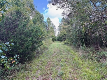 Listing 6
